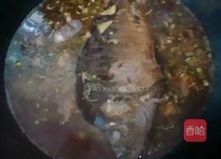 红烧鲤鱼的做法图解4