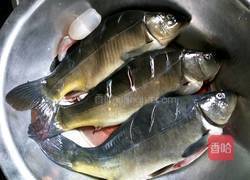 豆豉鲤鱼的做法图解1