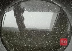 香辣儿菜的做法图解4