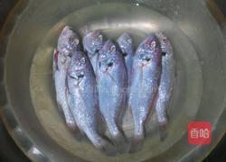 香煎黄花鱼的做法图解2