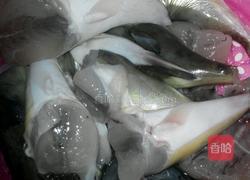 焖河豚（乖鱼）的做法图解2