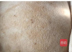 手撕面包的做法图解5