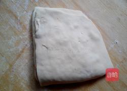 香葱猪肉饼的做法图解8