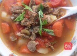 西红柿炖牛腩的做法图解4