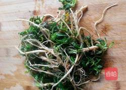 野生荠荠菜炒鸡蛋的做法图解2