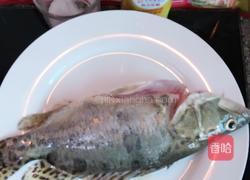 红烧桂花鱼的做法图解3
