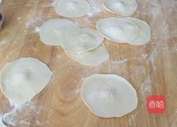 胡萝卜羊肉水饺的做法图解4