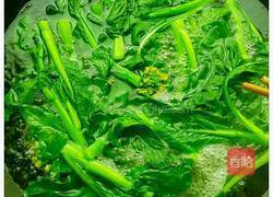 油淋菜心的做法图解4