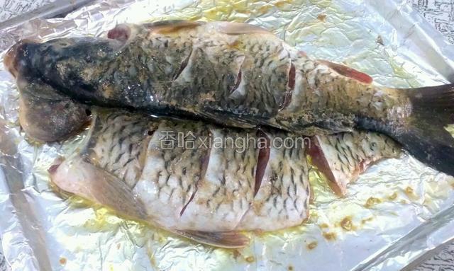烤盘铺上锡纸，刷上橄榄油，把鱼放上，再在鱼身上刷上油