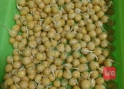 豌豆苗(自己培育的)的做法图解4