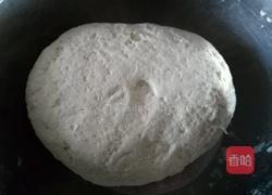 驴肉芹菜蒸饺的做法图解15