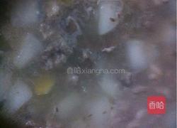羊肉萝卜汤的做法图解8