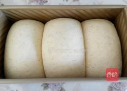 培根煎蛋三明治的做法图解9