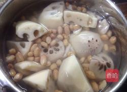 莲藕猪尾汤的做法图解6