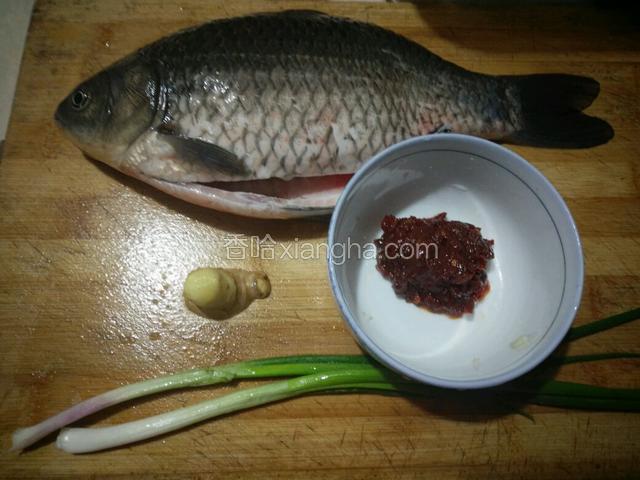 备好食材（现杀鲫鱼洗净鱼腹内黑膜，去鳞去腮），葱姜洗净，郫县豆瓣酱如图用量