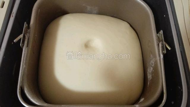 揉好的面团放温暖处发酵2.5倍大！