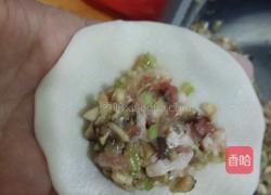 虾仁饺子的做法图解4