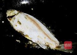 鲫鱼豆腐汤的做法图解5