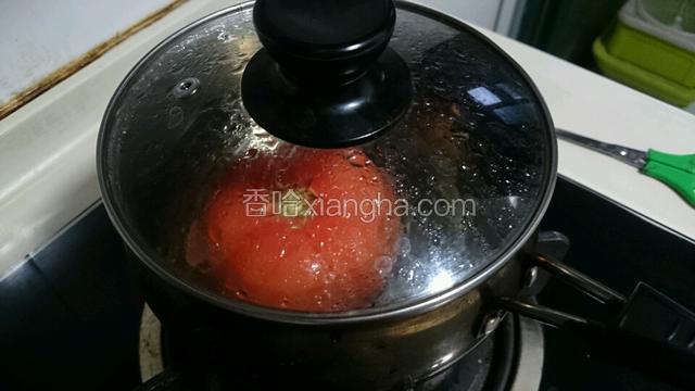 锅中烧沸水，把图4的番茄倒放在沸水中，如图所示，并盖上盖子闷五分钟。