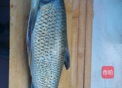 太安鱼的做法图解1