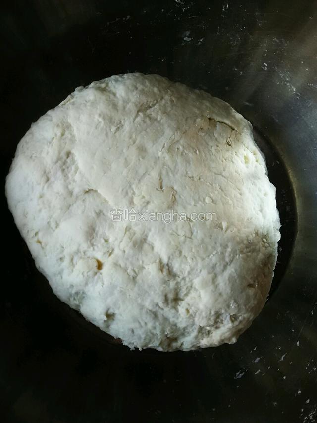 然后揉到一起成面团，醒一个小时