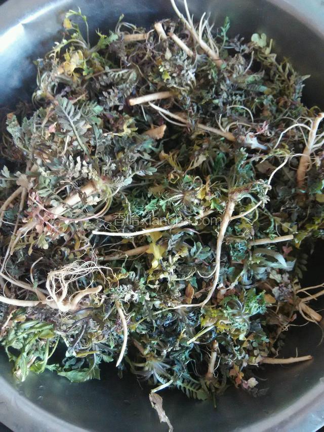 把荠菜摘干净了，摘的时候仔细些