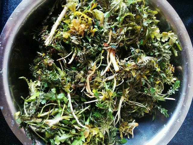 冲洗几遍，把泥沙冲干净了，控干水分备用