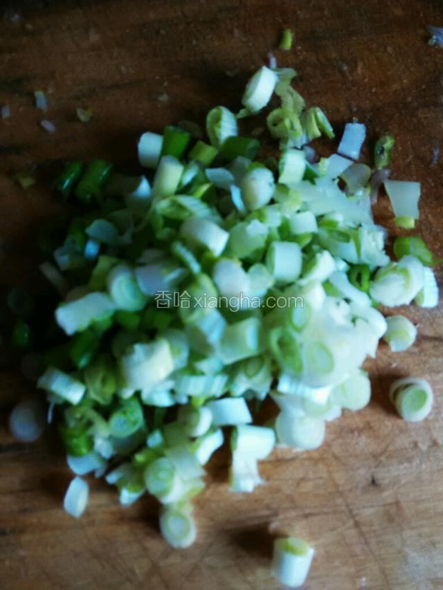 把葱切的细细的