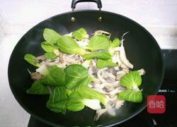 平菇炒小白菜的做法图解4