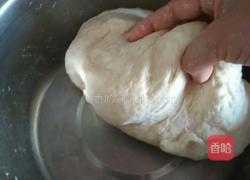 蒸花卷的做法图解5