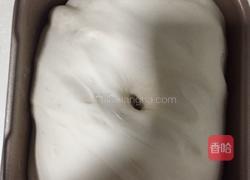 奶酪包的做法图解4