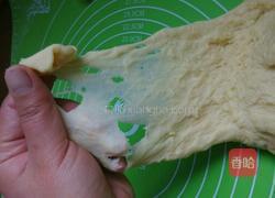 牛奶面包的做法图解8