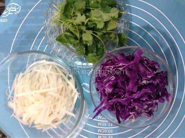 将紫甘蓝和萝卜各切丝，香菜切段。