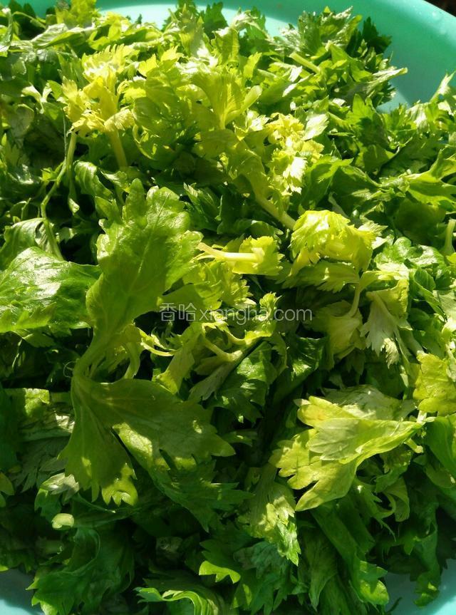 芹菜叶、嫩芹菜洗净晾干水分。