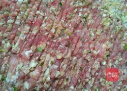 芹菜猪肉馅水饺的做法图解5