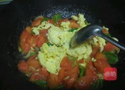 番茄炒蛋的做法图解11