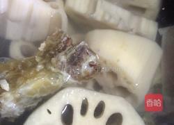 腊排骨炖藕的做法图解5