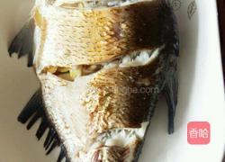 清蒸武昌鱼的做法图解5