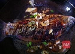 红烧大鲫鱼的做法图解5