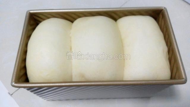 再次发酵至土司盒的八九分满。