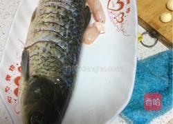 炝锅鱼的做法图解1