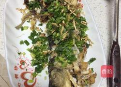 炝锅鱼的做法图解6