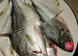 蒜苗焖鱼的做法图解1