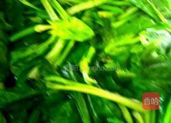 凉拌菠菜的做法图解1