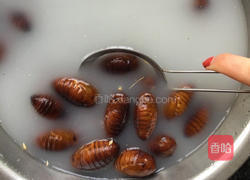 爆炒蚕蛹的做法图解2