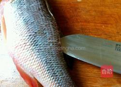 酸菜魚的做法圖解2