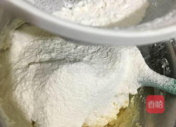 动物小饼干的做法图解3