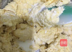 动物小饼干的做法图解4