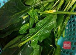 菠菜粉丝汤的做法图解1