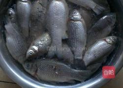焖酥鱼的做法图解1